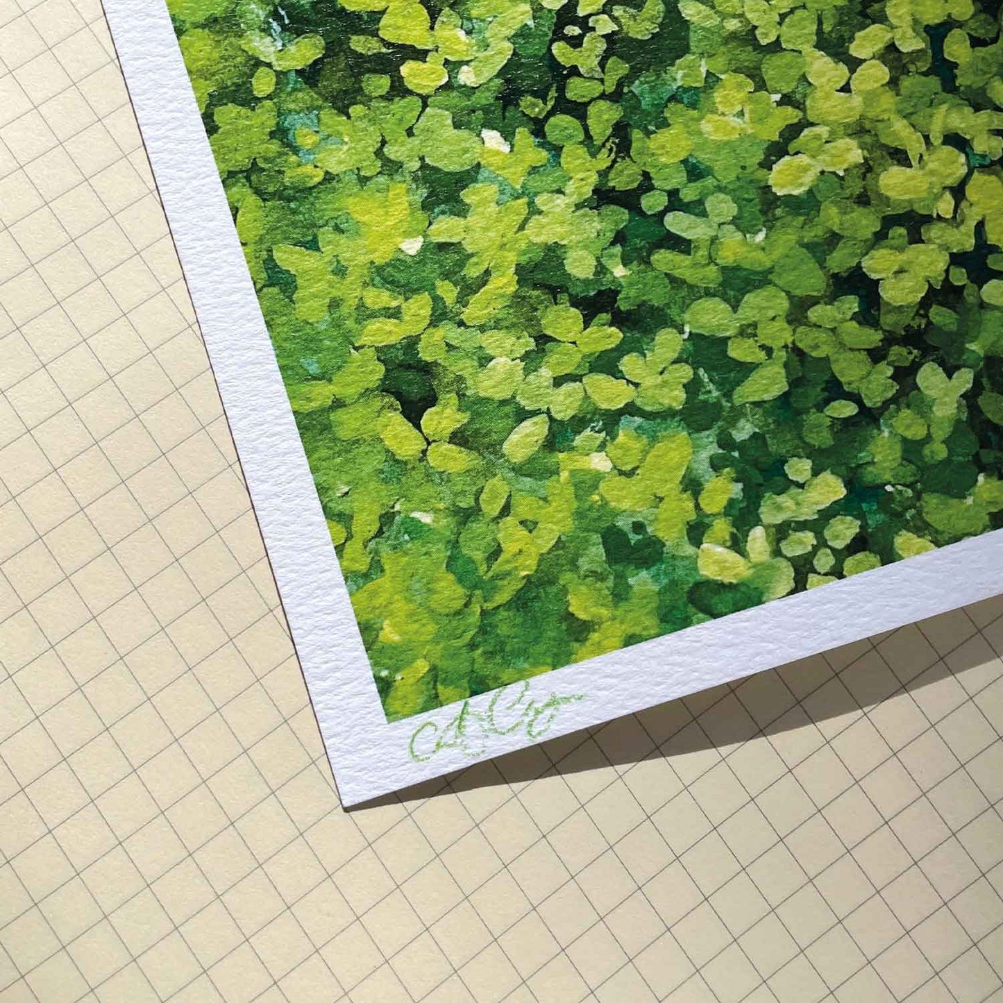 garden guide | art print