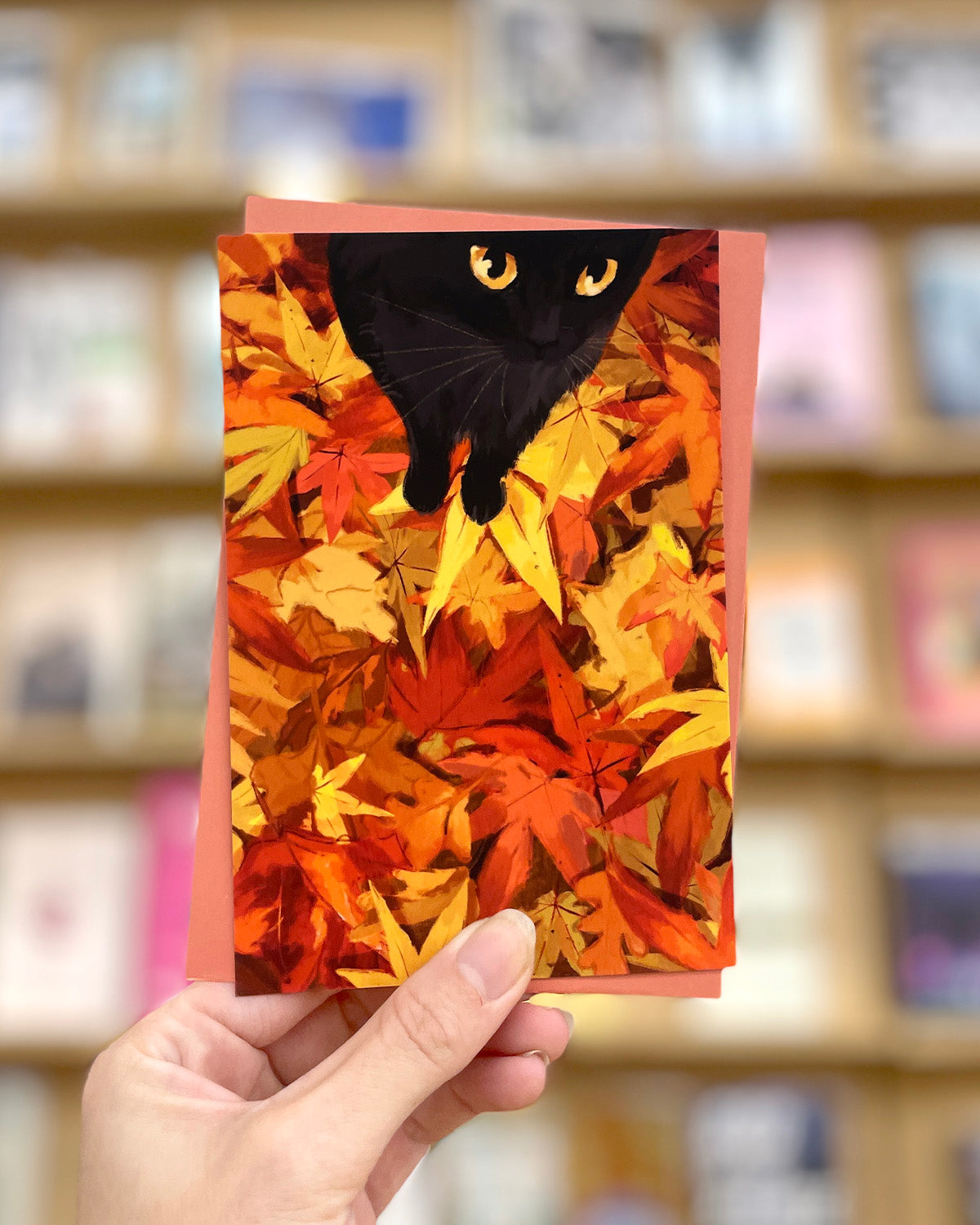 Leaf Peeping | Postcard with Envelope