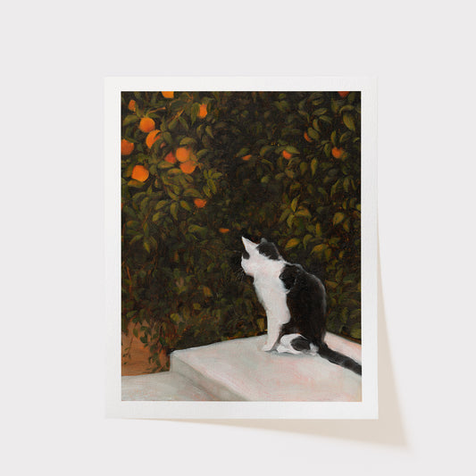 what's the secret? - art print (limited)