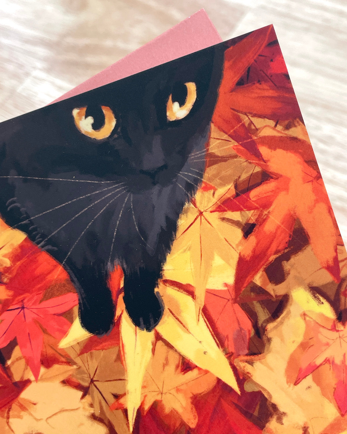 Leaf Peeping | Postcard with Envelope